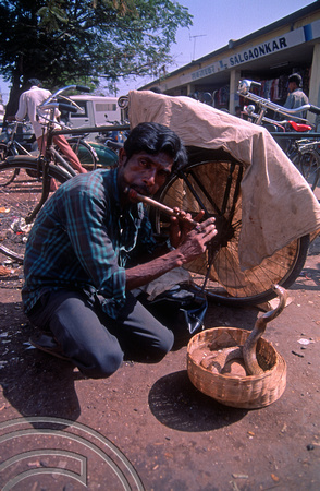T03137. Snake charmer. The market. Mapusa. Goa. India. January 1992.