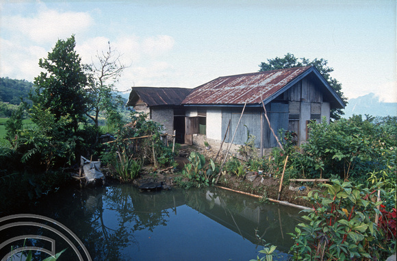 T03879. House on the road to the lake. Maninjau. West Sumatra. Indonesia. 26th June 1992