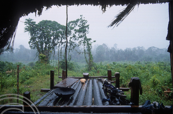 T03751. Looking out on a rainstorm. Siberut. Mentawai Islands. Indonesia. June 1992