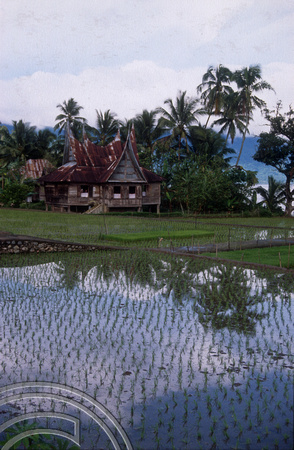 T03675. Traditional Minangkabau house. Lake Meninjau. West Sumatra. Indonesia.  8th June 1992