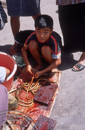 T03681. Boy cutting up eels in the market. Bukittinggi. West Sumatra. Indonesia.  10th June 1992