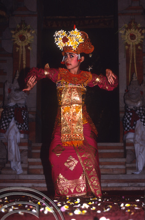 T4793. Female dancer. Ubud. Bali. Indonesia. December. 1994. jpg