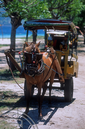 T4870. Horse taxi. Gili Trawangan. Lombok. Indonesia. December. 1994