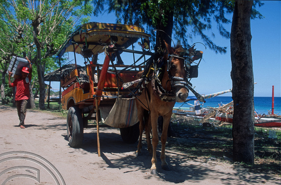 T4877. Horse taxi. Gili Trawangan. Lombok. Indonesia. December. 1994
