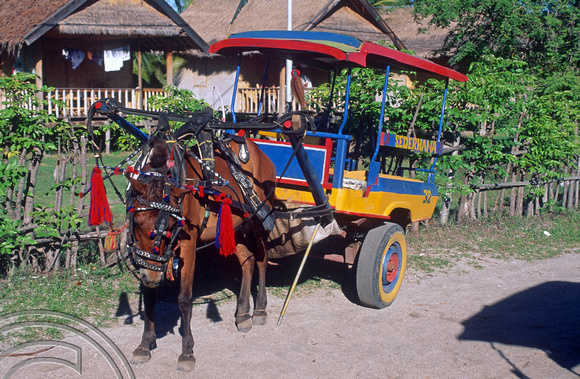 T4888. Horse taxi. Gili Trawangan. Lombok. Indonesia. December. 1994