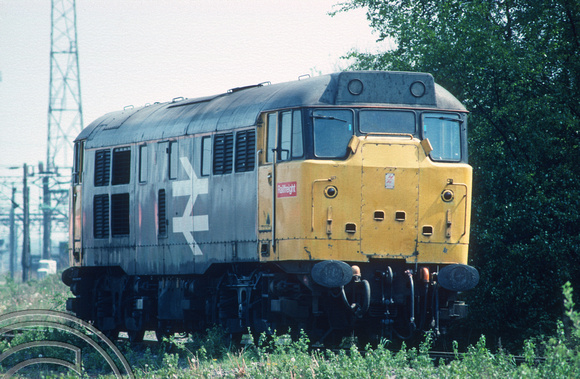 00893. Unidentified withdrawn Class 31. Bescot depot open day. 6.5.1990