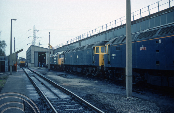 01590.  47270. 47351. 47447. 47209 in background. Tinsley TMD open day. 29.09.1990