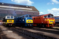 02911. D7018. D821. Old Oak Common depot open day. 18.08.1991.