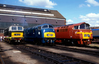 Old Oak Common depot open day. 18th August 1991.