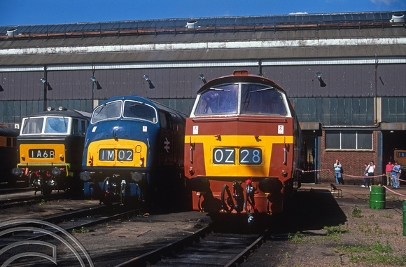 02910. D7018. D821. Old Oak Common depot open day. 18.08.1991
