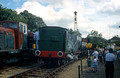 0003. Loco in steam. Rutland Railway Museum. 13.8.1989.+