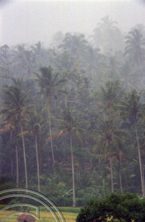 T5030. Rainstorm. Tirtagangga. Bali. Indonesia. January 1995