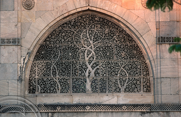 T9687. Carved windows. Sidi Saiyad Mosque. Ahmedabad. Gujarat. India. 14.02.2000.