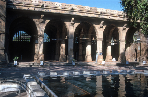 T9696. The Sidi Saiyad Mosque. Ahmedabad. Gujarat. India. 15.02.2000