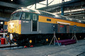 3664. 47366. Old Oak Common open day. 19.3.94