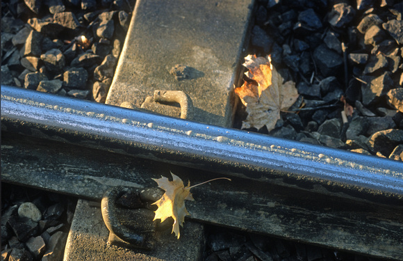 09891. Sandite paste applied to the railhead. Upper Holloway. 22.11.2001