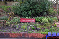 DG413992. Community gardening. Westhoughton. 5.4.2024.