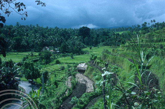 T5073. Rice terraces. Rain storm. Tirtagangga. Bali. Indonesia. January 1995