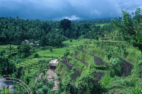 T5074. Rice terraces. Rain storm. Tirtagangga. Bali. Indonesia. January 1995
