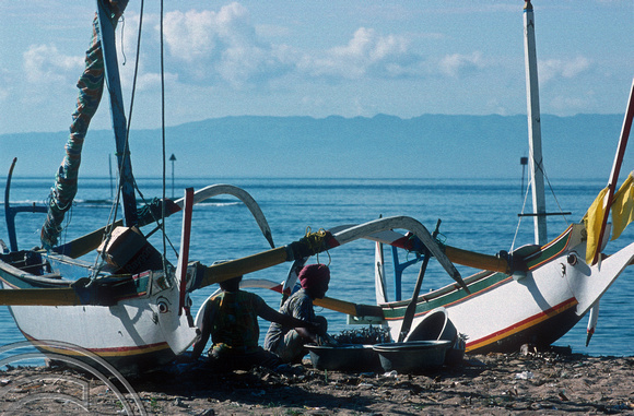 T5122. Unloading the catch. Padangbai. Bali. Indonesia. January 1995