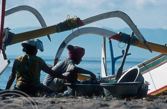 T5124. Unloading the catch. Padangbai. Bali. Indonesia. January 1995