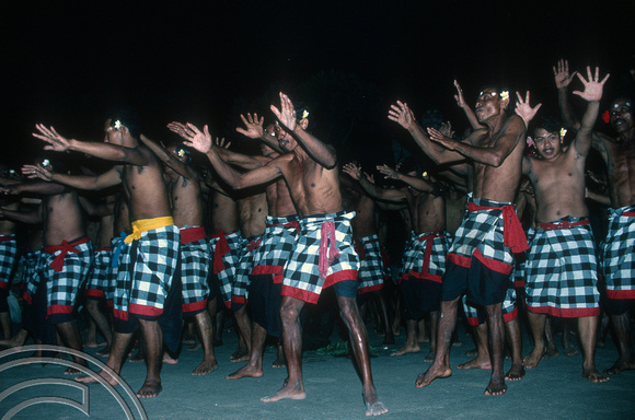 T5145. Performing the Kecak dance. Ubud. Bali. Indonesia. January 1995