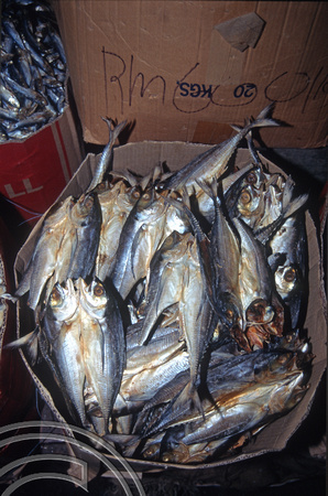 T7311. Dried fish. Indoor Market. Kota Baru. Malaysia. May 1998