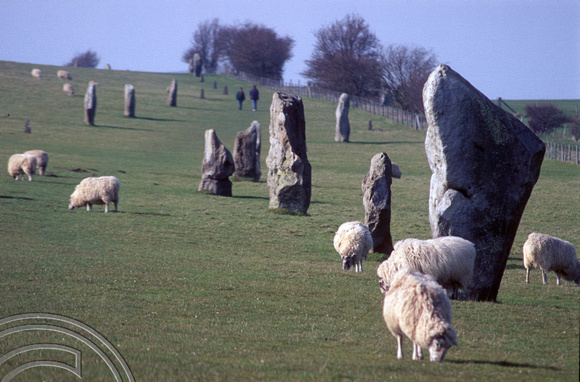 T5250. Standing stones. Avebury. Wiltshire. England. 1st April 1995.
