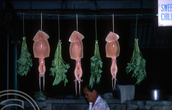 T7450. Squid for sale at the night market. Georgetown. Penang. Malaysia. July 1998