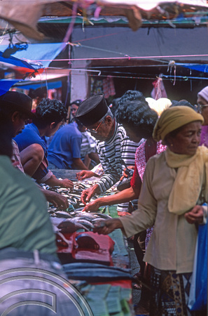 T7628. Fish market. Lake Maninjau. West Sumatra. Indonesia. August 1998