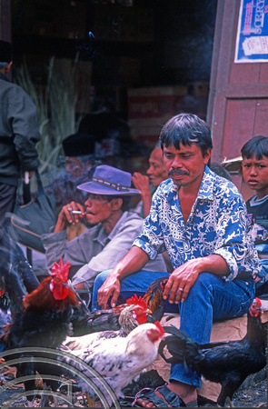 T7630. Man selling Cockerels. Lake Maninjau. West Sumatra. Indonesia. August 1998