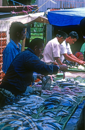 T7629. Fish market. Lake Maninjau. West Sumatra. Indonesia. August 1998