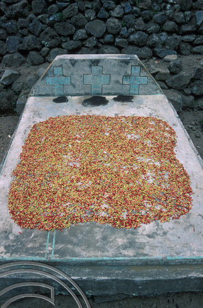 T7725. Chillis drying on a grave at a Ngada village near Moni. Flores. Indonesia. September 1998