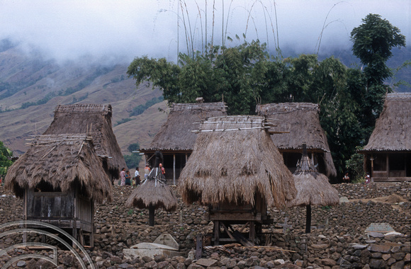 T7743. Ngada village. Flores. Indonesia. September 1998