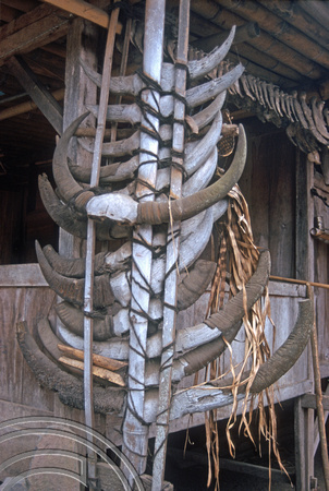 T7753. Ngada village. Buffalo horn decoration. Flores. Indonesia. September 1998