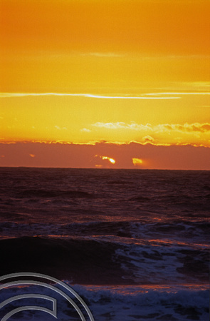 T8466. Sunset. Back beach. Sorrento. Victoria. Australia. 30th. December 1998.