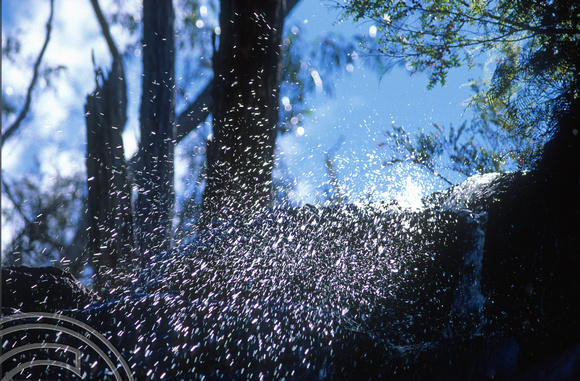 T8601. Waterfall in the Grampians. Victoria. Australia. 8th January 1999.