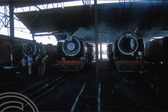 FR0074. YP 4-6-2S 2713 and 2222. On shed. Jaipur. Rajasthan. India. 30.10.1991