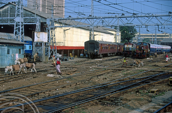 FR0595. WDS4d No 19563 and donkeys. Mumbai CST (Victoria Terminus). Mumbai. Maharashtra . India. 22.02