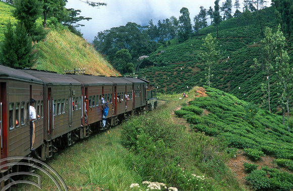 FR0909. No 795. Tea plantations seen from the Podi Menike to Badulla. Kotagala. Hill railway. Sri Lanka. 06.01.2003