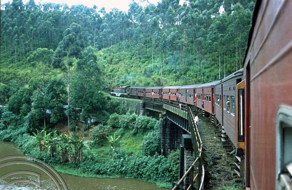 FR0926. No 795. Tea plantations seen from the Podi Menike to Badulla. Talawakele. Hill railway. Sri Lanka. 06.01.2003