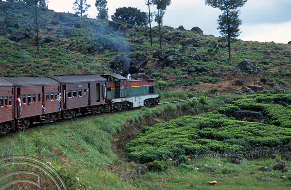 FR0927. No 795. Tea plantations seen from the Podi Menike to Badulla. Talawakele. Hill railway. Sri Lanka. 06.01.2003
