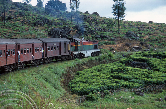 FR0928. No 795. Tea plantations seen from the Podi Menike to Badulla. Talawakele. Hill railway. Sri Lanka. 06.01.2003