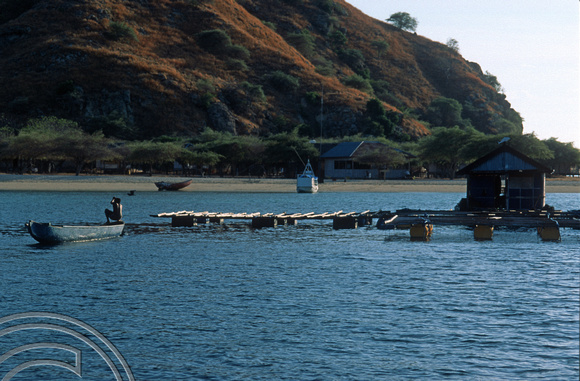 T7847. Fish farm. Kanawa Island. Labuanbajo. Flores. Indonesia. September 1998