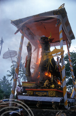 T8121. Burning the statues. Ubud. Bali. Indonesia. 2nd November 1998
