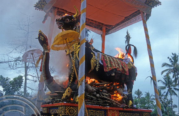 T8122. Burning the statues. Ubud. Bali. Indonesia. 2nd November 1998