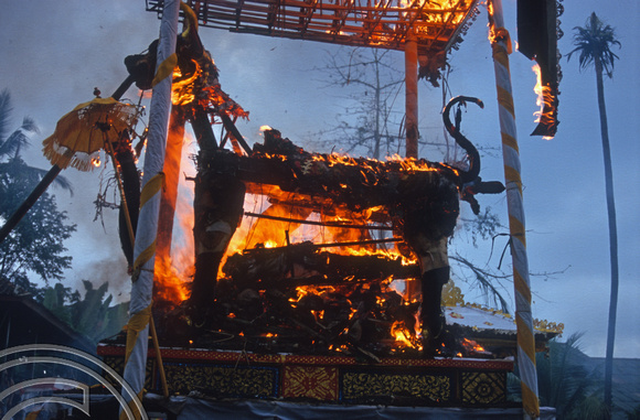 T8126. Burning the corpse. Ubud. Bali. Indonesia. 2nd November 1998