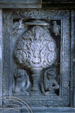 T8302. Stone carvings. Prambanan. Java. Indonesia. 25th November 1998