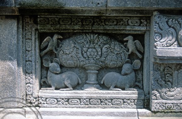 T8306. Stone carvings. Prambanan. Java. Indonesia. 25th November 1998
