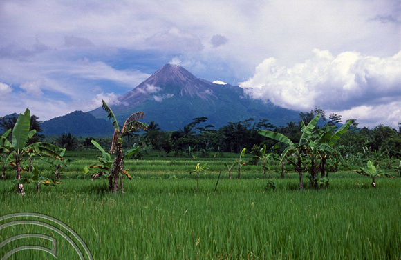 T8289. Mount Merapi, an active volcano. Java. Indonesia. 19th November 1998crop